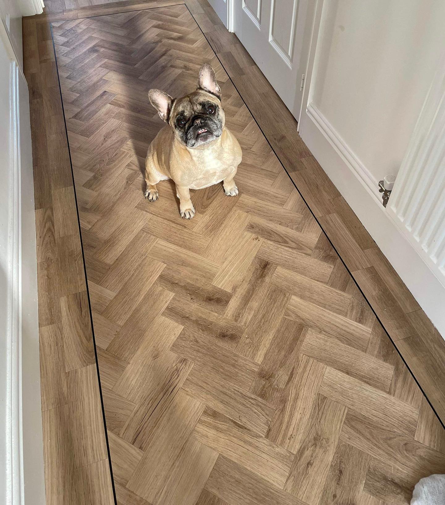 LG - Dusty Beige Small Parquet - Image 2